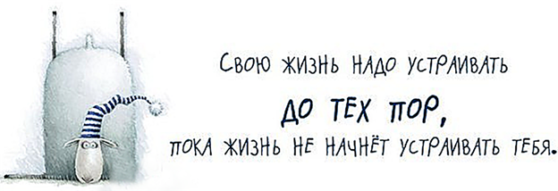 Свою жизнь надо устраивать. Жизнь надо устраивать до тех пор пока она не начнет устраивать вас. Свою жизнь надо устраивать до тех. Свою жизнь нужно устраивать до тех пор.