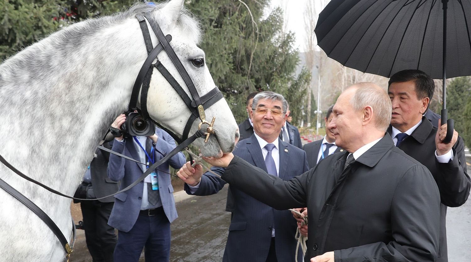 Фото кони путина