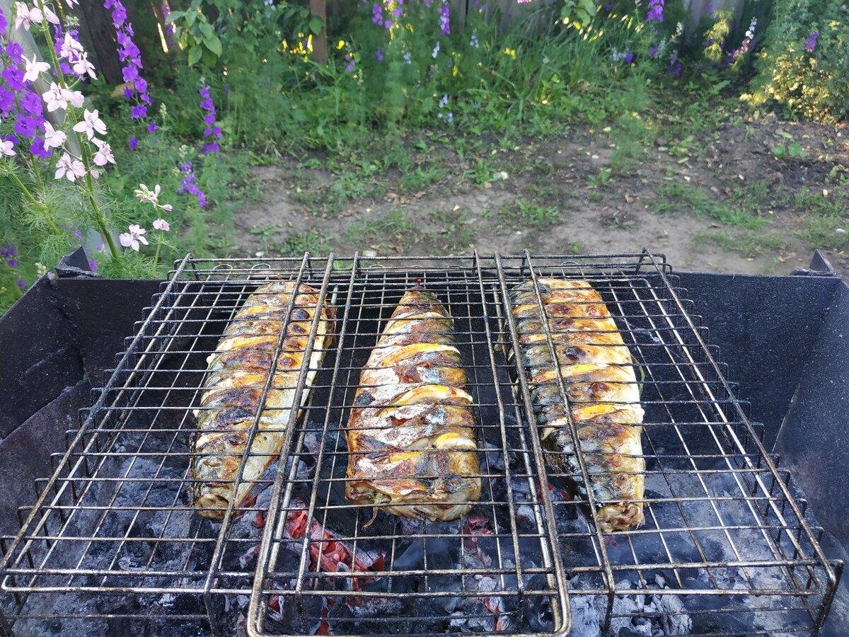 Рыба скумбрия на мангале. Рыба на мангале скумбрия. Скумбрия на мангале на решетке. Скумбрия на костре. Рыба на мангале на решетке скумбрия.