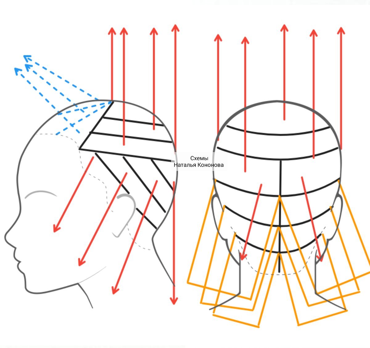 Каскад на длинные волосы схема стрижки техника