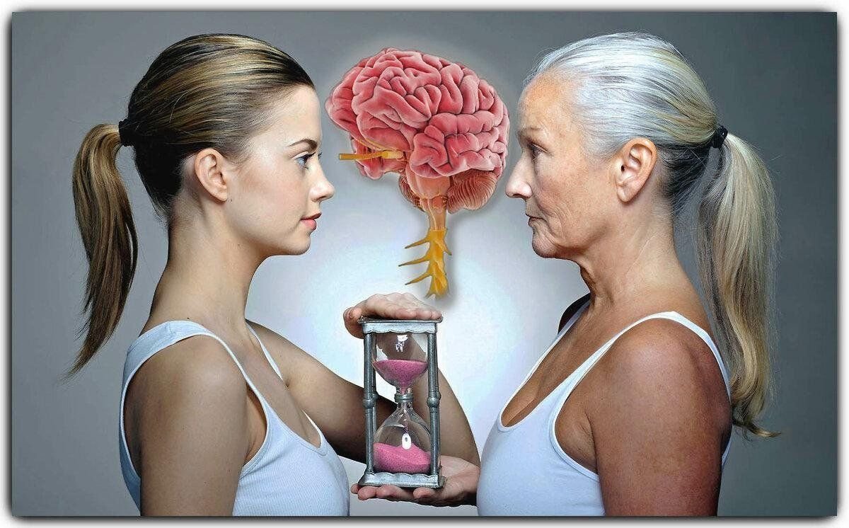 Старость мозга не грозит если видите. Замедление старения. Старение мозга. Необычный тест на старение мозга. Запрограммированное старение.
