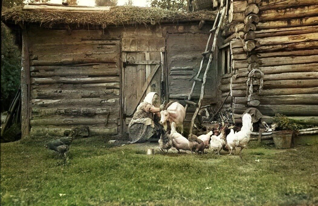 Село должно. Деревня кормилица. Кормилица 1941 год. Кормилица 1890 год. Деревня кормилица Рязанская область.