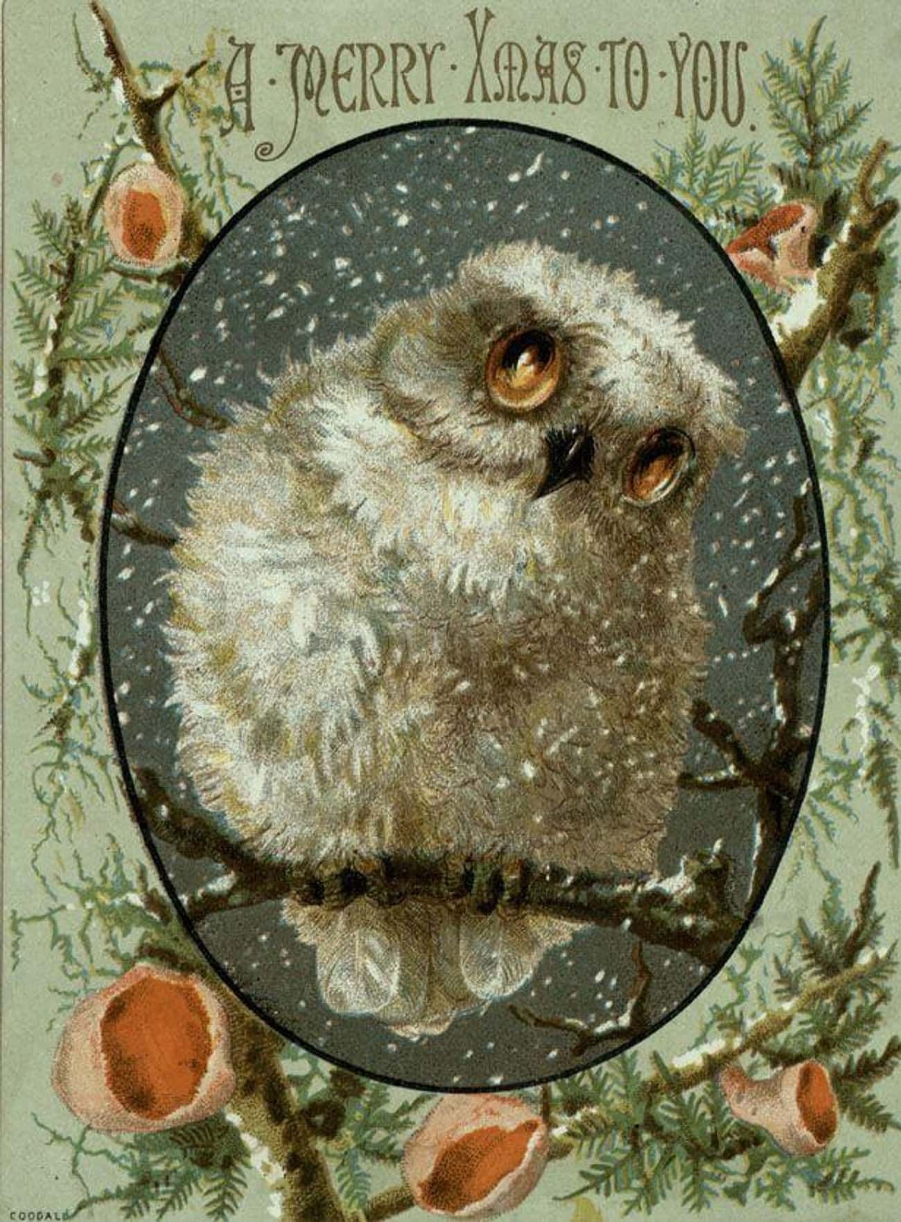 Рождественские открытки с совами