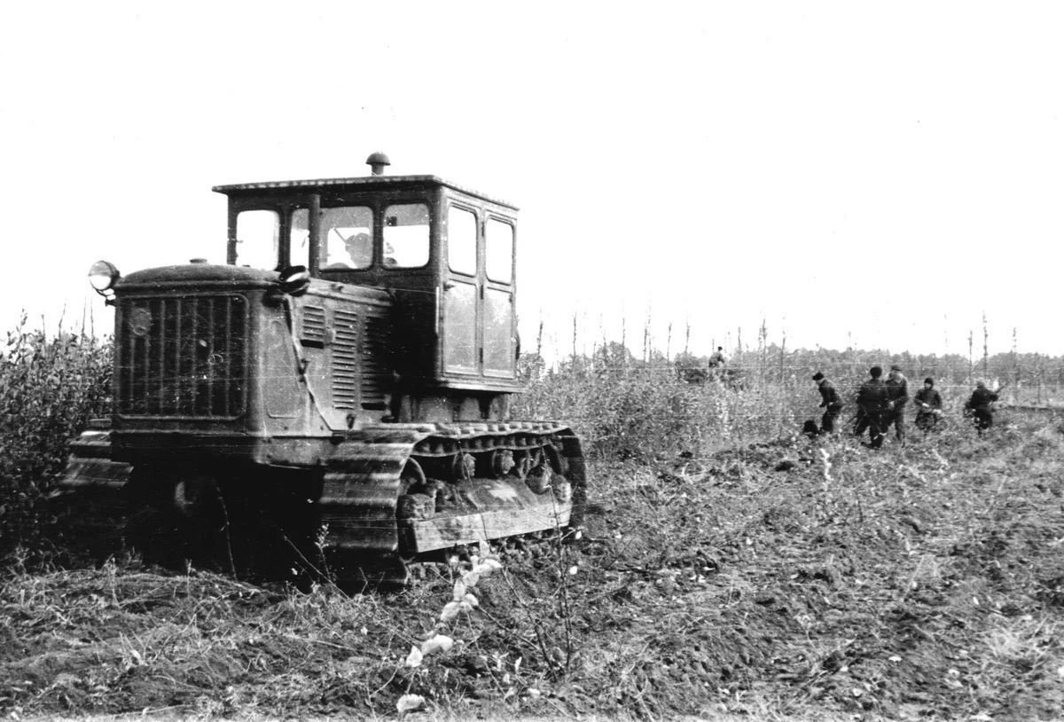 Т 80 трактор фото