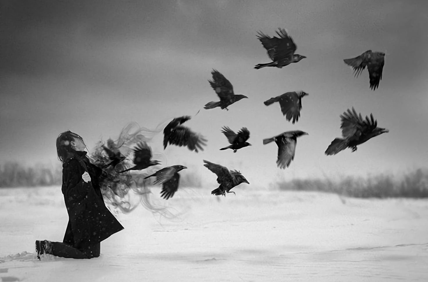 Молчание птиц. Птицы из души. Птицы улетают. Птицы разлетаются. Птица свободы.