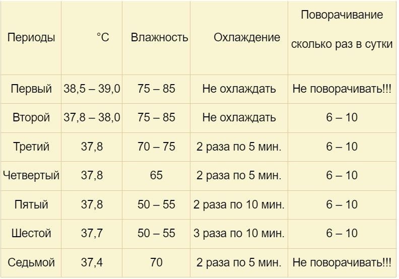 Схема инкубации гусиных яиц