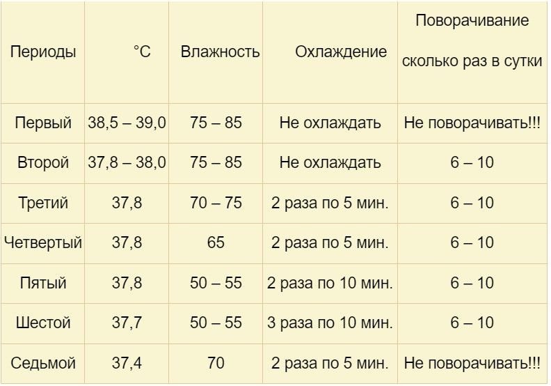 Таблица инкубации гусиных яиц фото