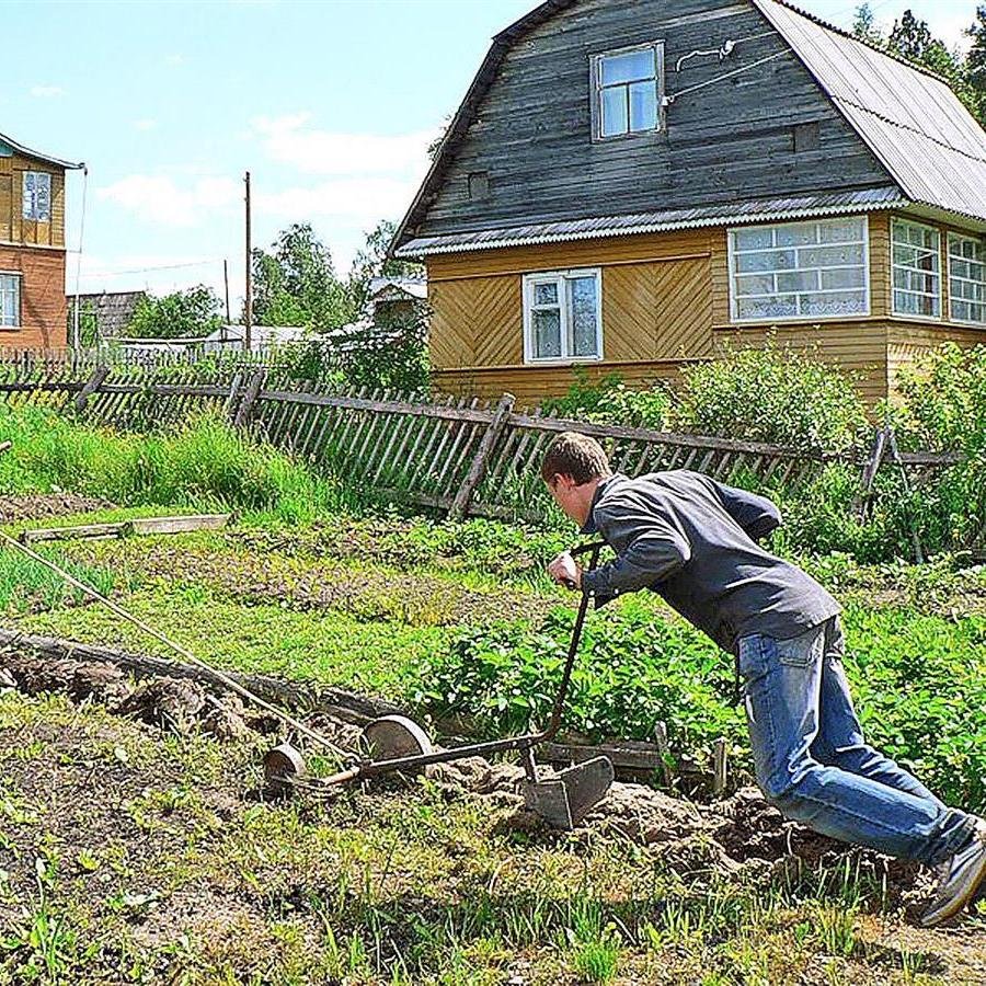 дачники снт. дачники и садоводы. среди дачников в поселке есть те. среди дачников в поселке есть те. огород на даче.