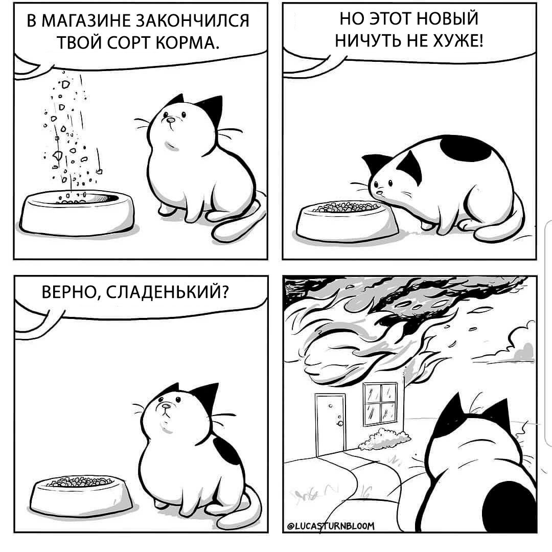 Комикс про кота