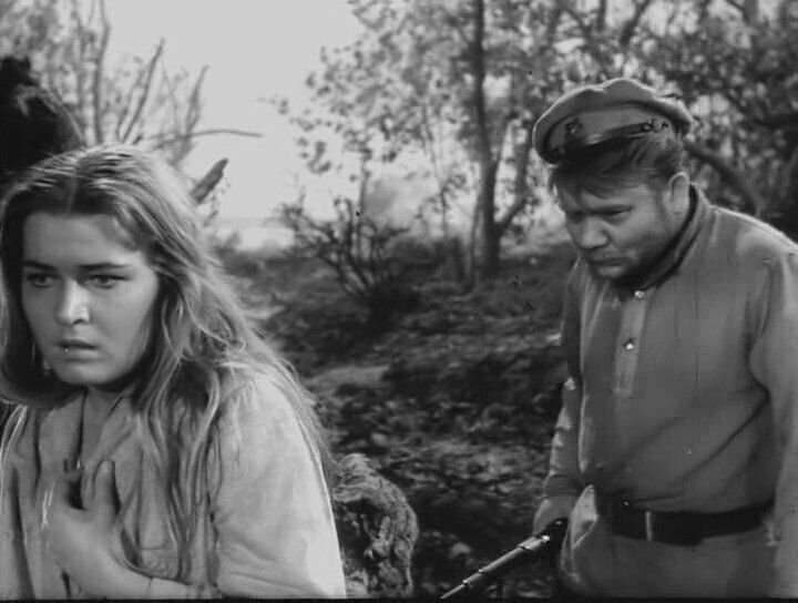 леонов донская повесть. донская повесть краткое содержание. евгений леонов донская повесть. шолохов донские рассказы фильм. шибалково семя шолохов.