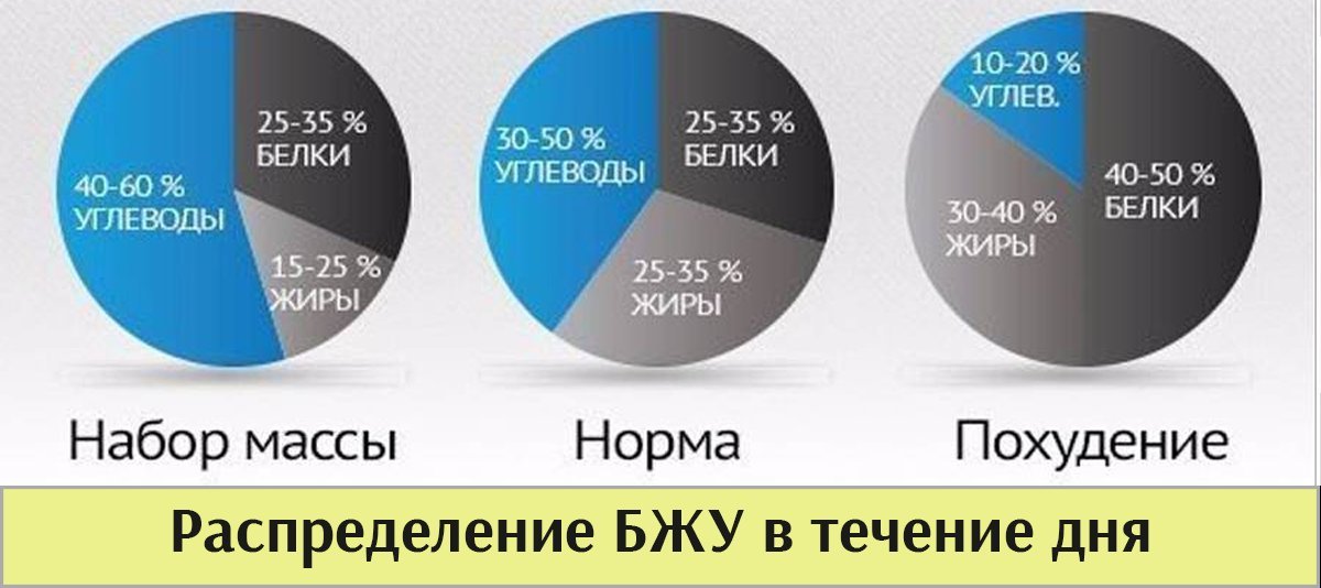 Сколько есть жиров. Соотношение белков жиров и углеводов в рационе. Оптимальное соотношение белков жиров и углеводов. Соотношение белков, жиров и углеводов в дневном рационе. Оптимальное содержание белков жиров углеводов в пище соотношение.