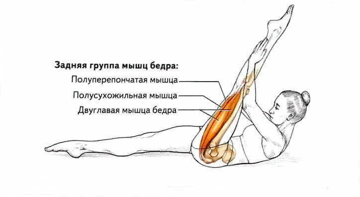 Задняя делать. Растяжка двуглавой мышцы бедра. Растянуть мышцы задней поверхности бедра. Упражнения для ног сзади бедра. Растяжка полусухожильной мышцы бедра.