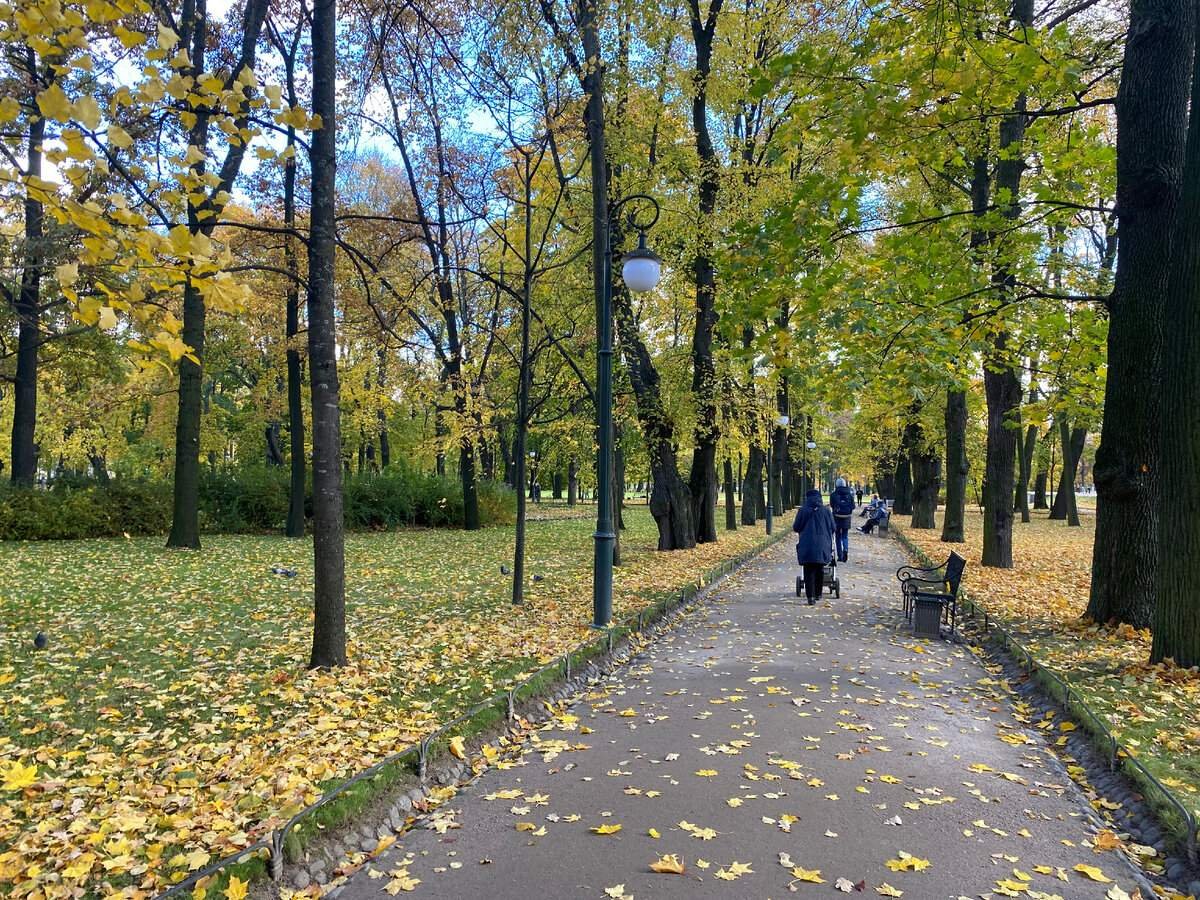 Михайловский сад презентация