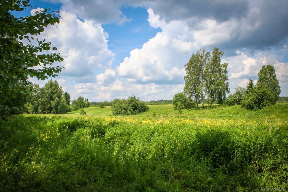 Родине дер. Деревня Родина Чусовая. Природа есть Родина. Деревня Родина на Чусовой. Однотонный пейзаж России.