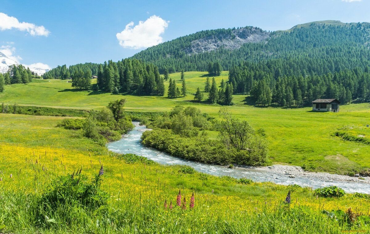 Лето В Сибири