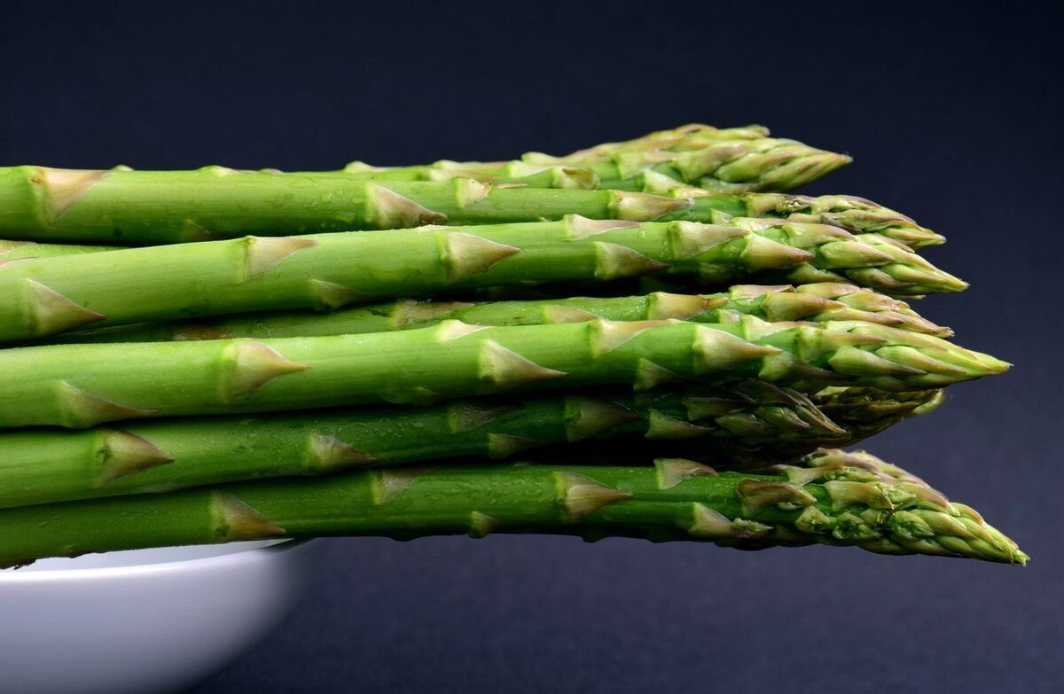 Полезные свойства спаржи. Аспарагус спаржа. Аспарагус (спаржа) / Asparagus. Спаржа зеленая. Аспарагус (спаржа) Бэклим.