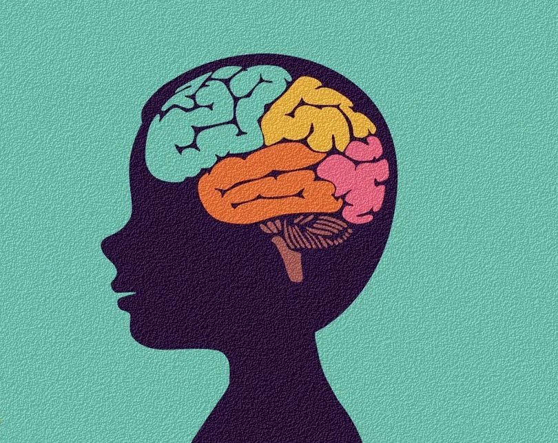 Мозган. Телочка держит мозг. Autism Mind and Brain.