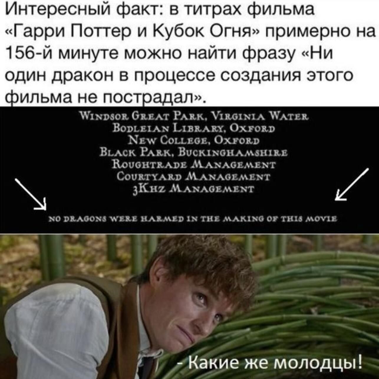 Гарри Поттер Мем