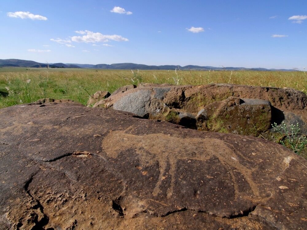 исчезнувшие люди сериал 2018. мертвые птицы ставрополье фото. оставленные на земле. свалка. исчезнувшие сериал 2009.