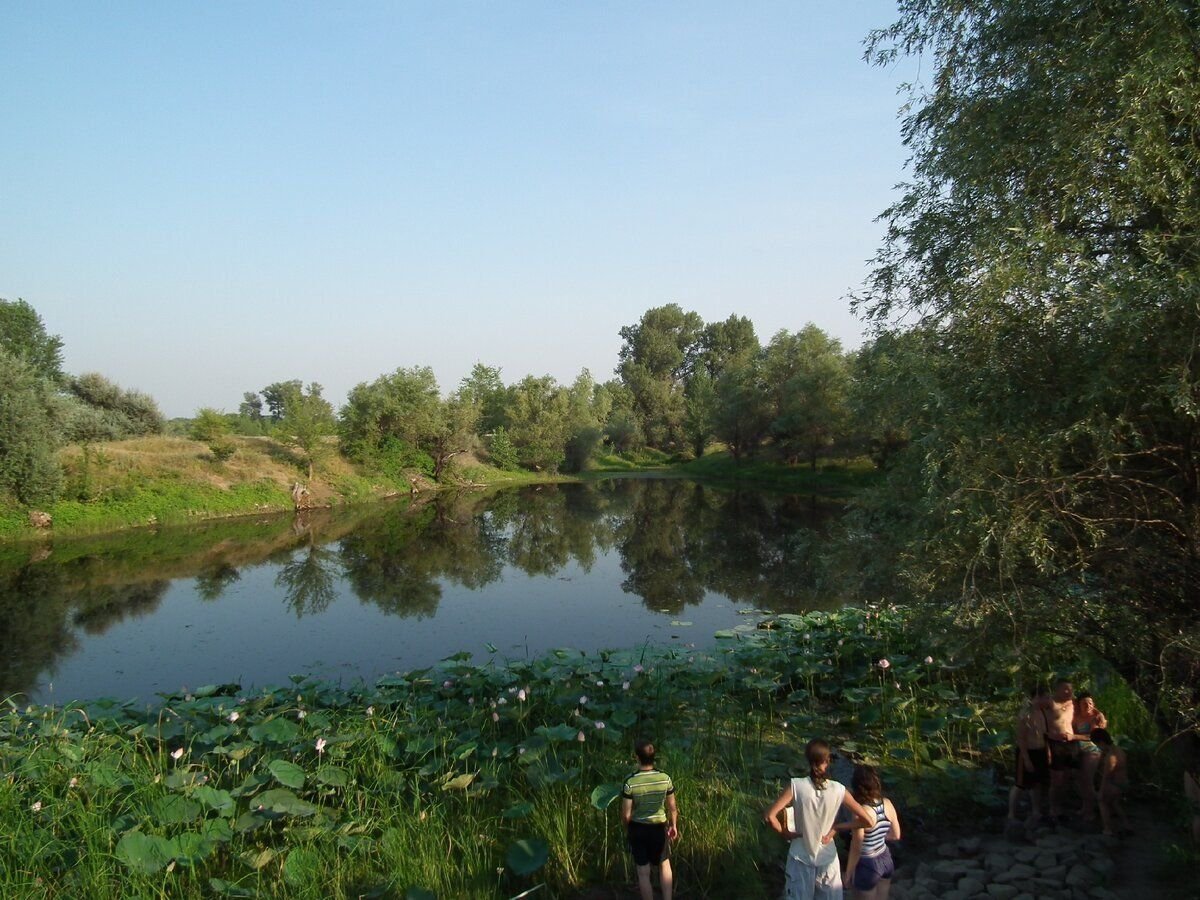 парк волго ахтубинская пойма