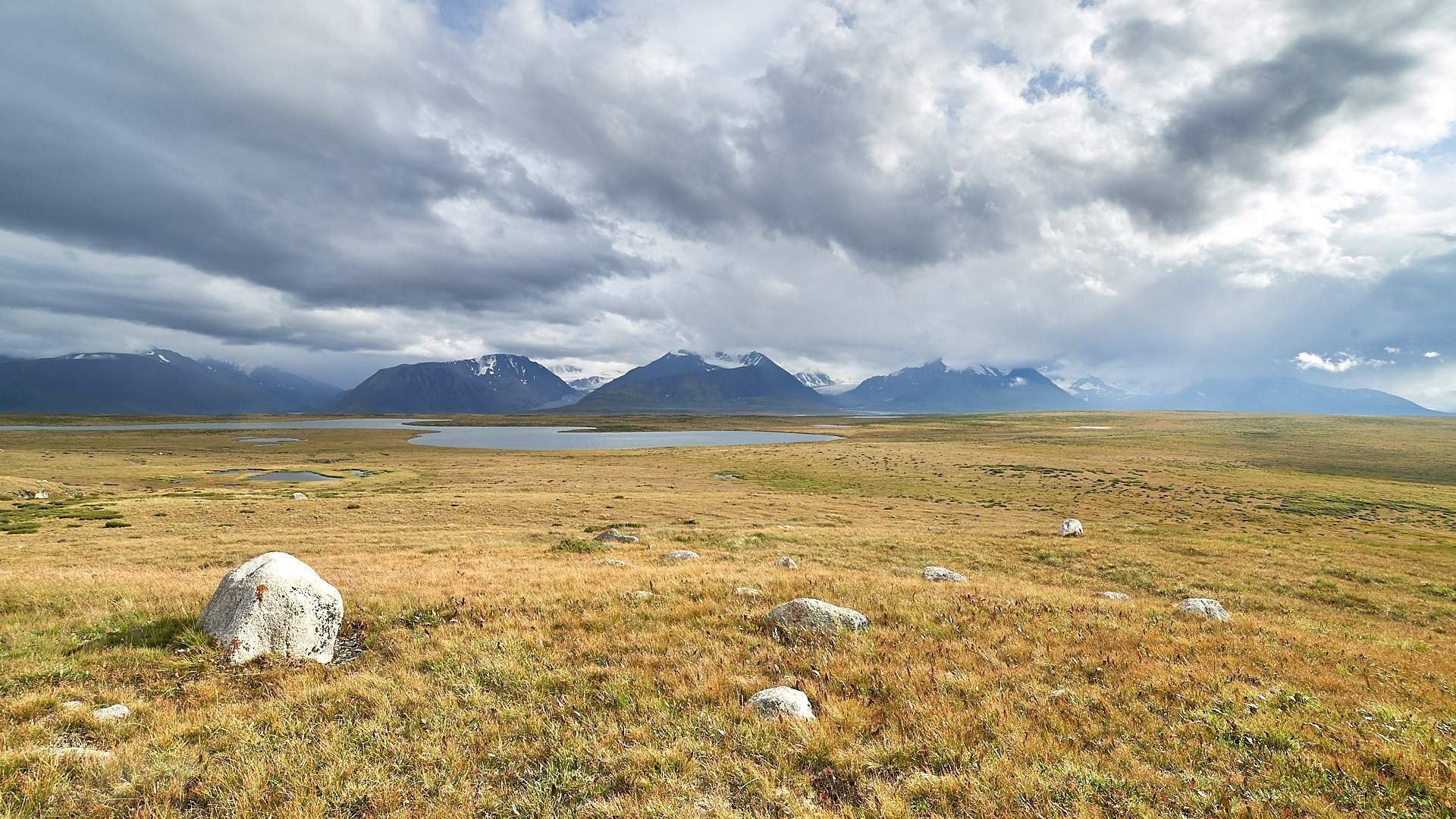 Плато укок горный алтай фото