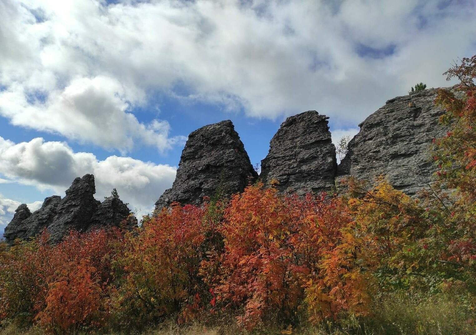 Гора шапок
