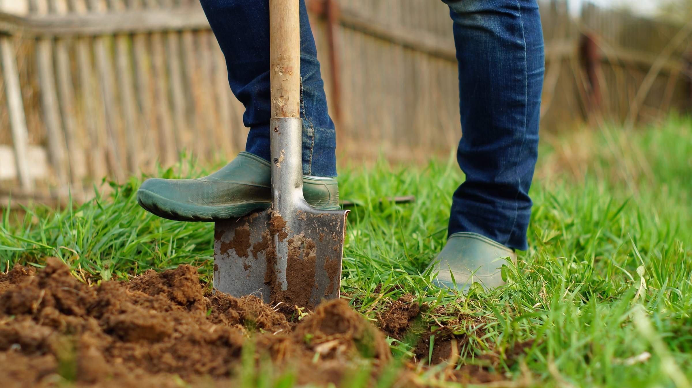 Можно ли копаться в земле. Лопата в земле. Копать огород. Лопата для огорода. Перекопка участка.
