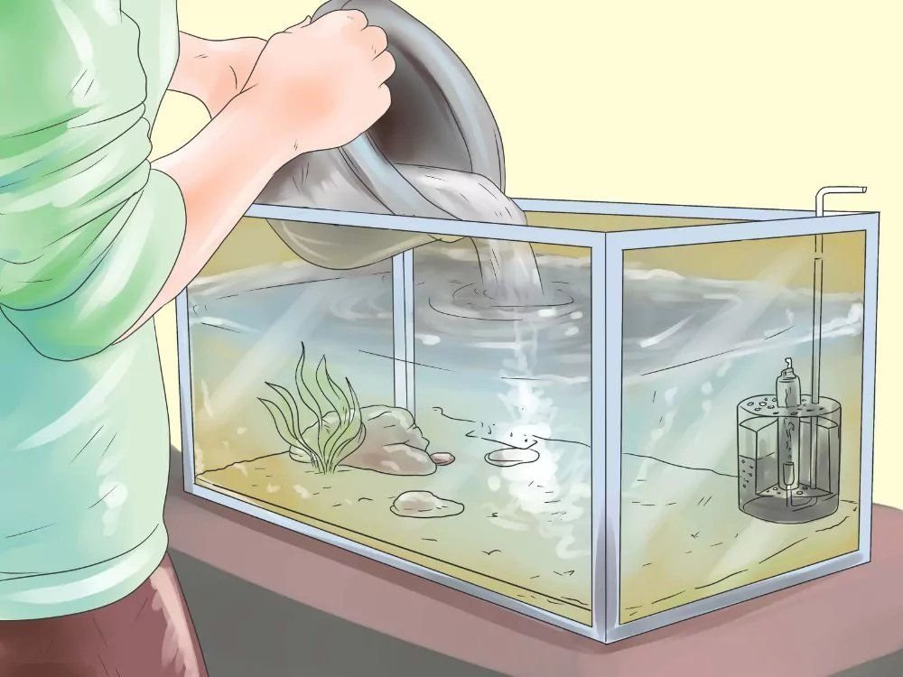 подмена воды в аквариуме. подмена воды в аквариуме. вода в аквариуме рисунок. подмена воды в аквариуме. когда надо менять воду.