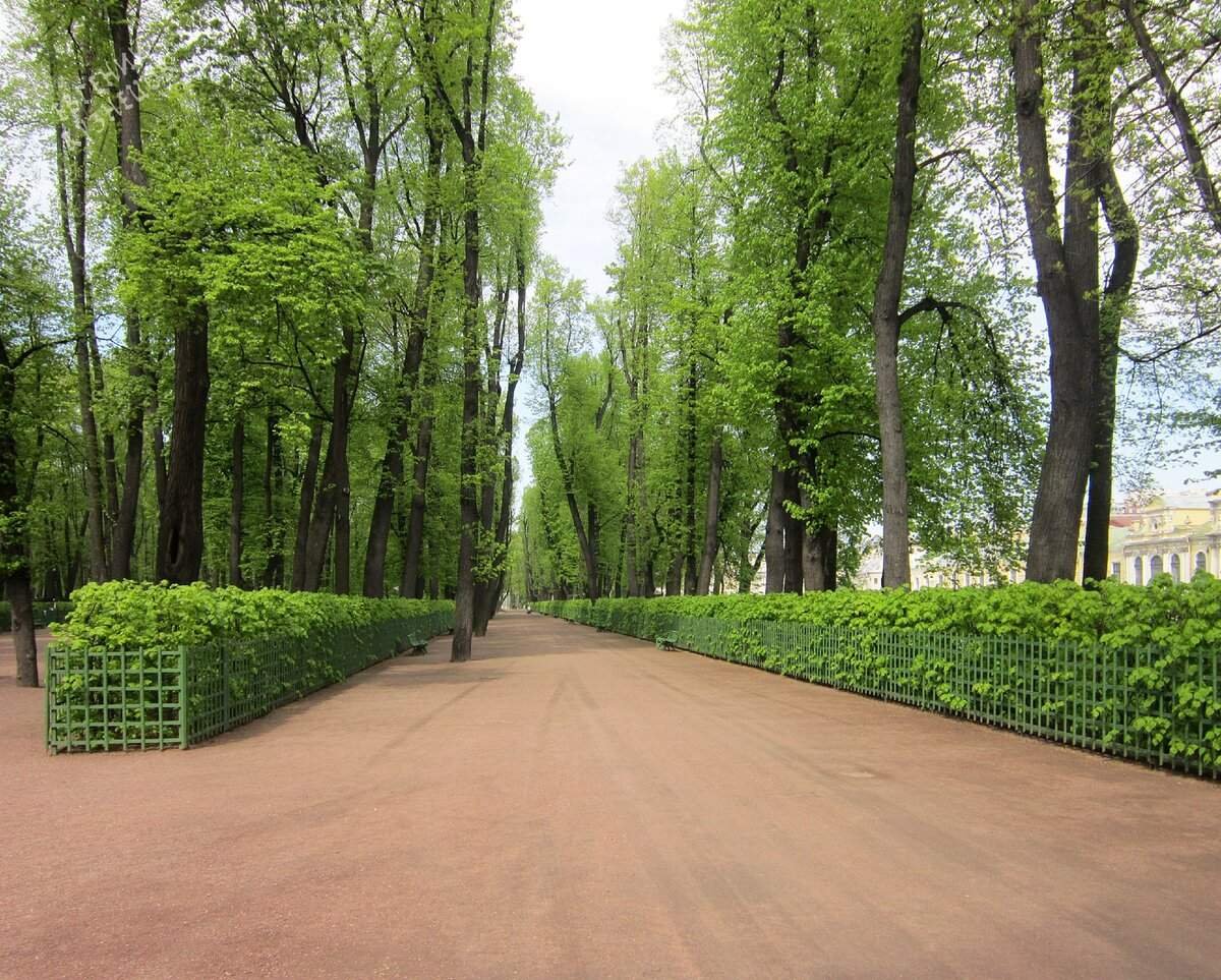 Аллеи санкт петербурга