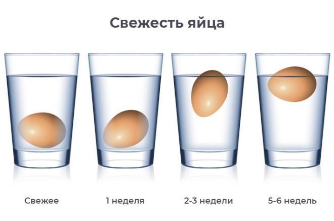 Если яйцо всплывает в воде. Как проверить яйца на свежесть в воде. Степень свежести яиц. Проверка яиц на свежесть в воде. Как определить испортилось ли яйцо.