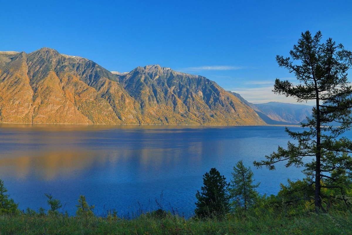 Телецкое озеро горный алтай фото