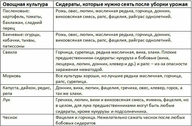 Чеснок после каких культур можно. Таблица посадки сидератов. Таблица сидератов для овощных культур. Таблица севооборота овощных культур и сидератов. Таблица сидератов для овощных культур таблица.
