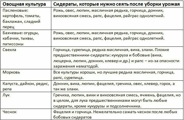 Сажать чеснок после капусты. Таблица посадки сидератов. Таблица совместимости сидератов и овощных культур. Таблица сидератов для овощных культур таблица. Какие сидераты для каких культур подходят таблица.