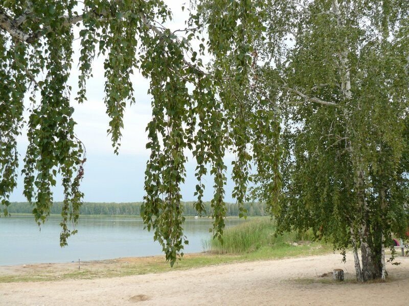 Хомутинино озеро горькое