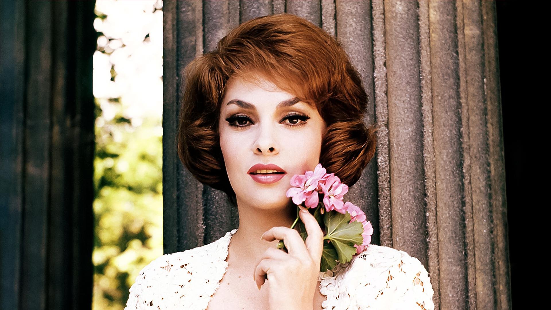 Gina lollobrigida фото