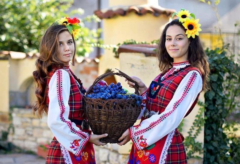 насколько болгарский похож на русский