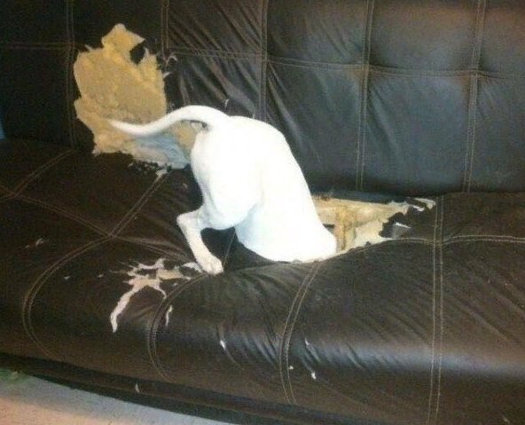 поставить в словах нужную форму. уйти до вечера закатился под диван. и так каждый день. уйти до вечера закатился под диван. что видит кот.