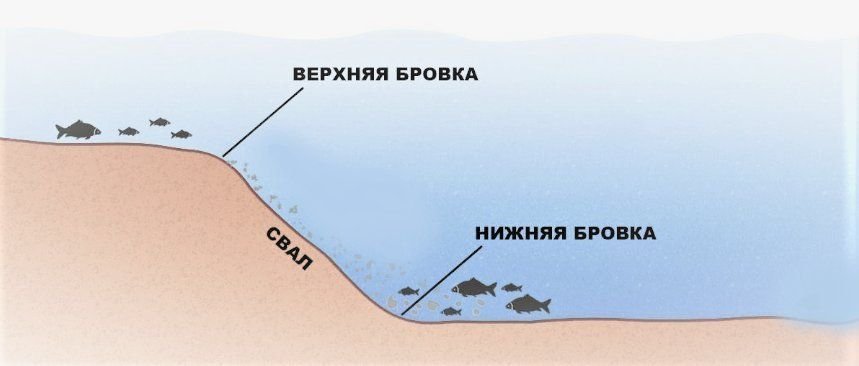 Рыбак заметил что гребни волны проходят