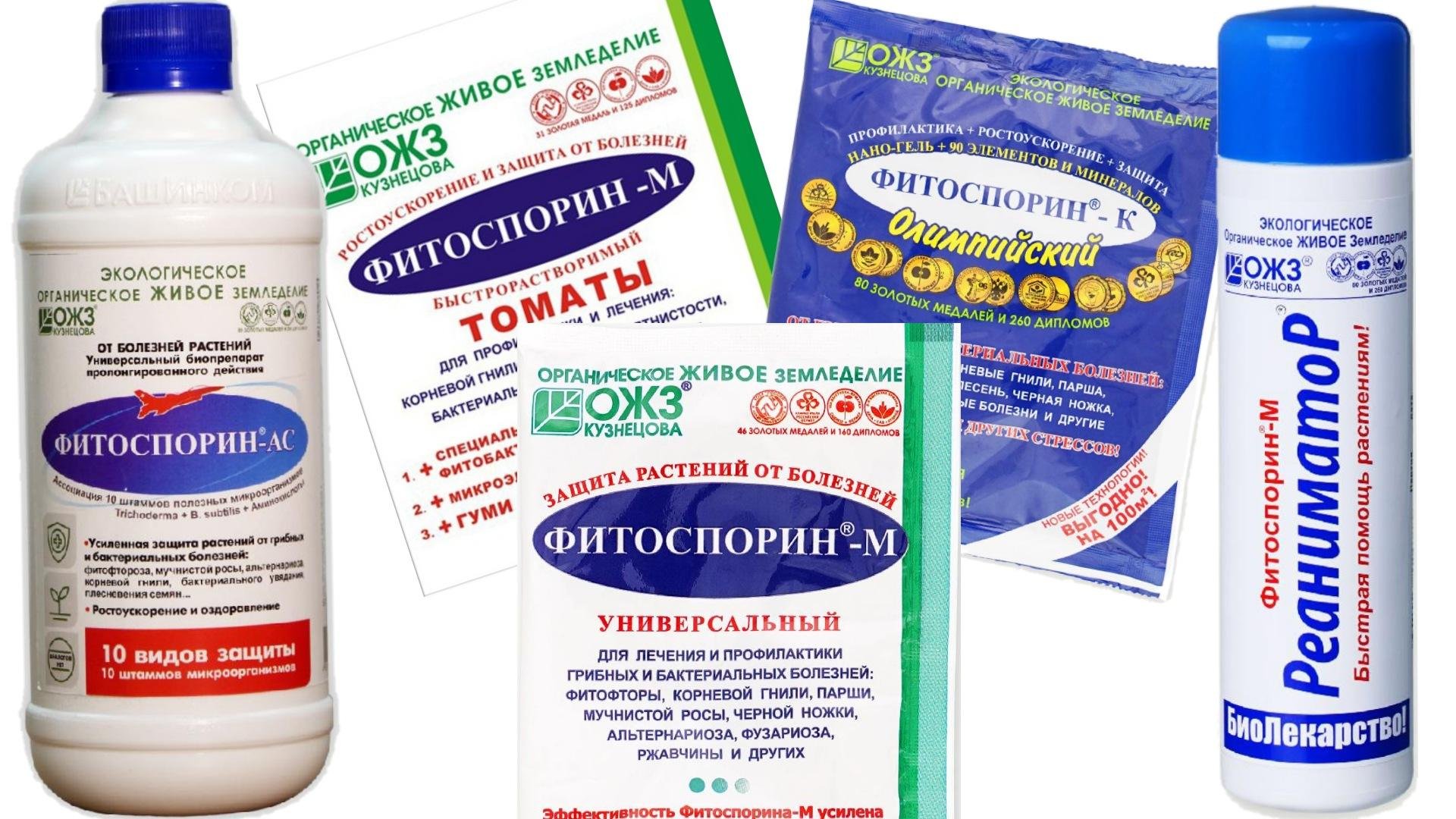 Фитоспорин олимпийский инструкция по применению. Раствор фитоспорина. Фитоспорин-к Олимпийский. Фитоспорин хранение маточного раствора. Разведение фитоспорина.