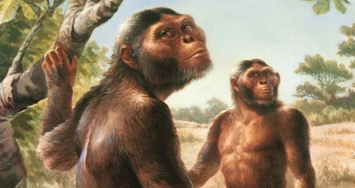Человек 1 млн лет назад