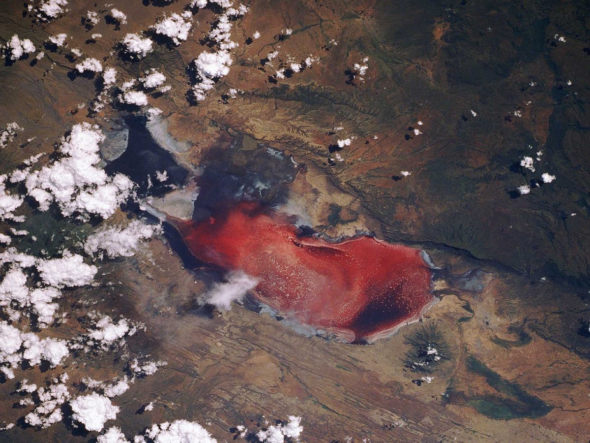 Красное озеро в Танзании