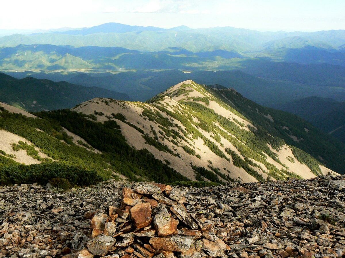 Лысая (гора, Центральный Сихотэ-Алинь)