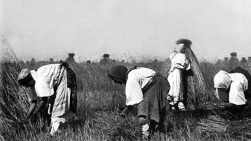 картина к. принудительный труд крестьян на земле. принудительный труд крестьян на земле. принудительный труд крестьян на земле. принудительный труд крестьян на земле.