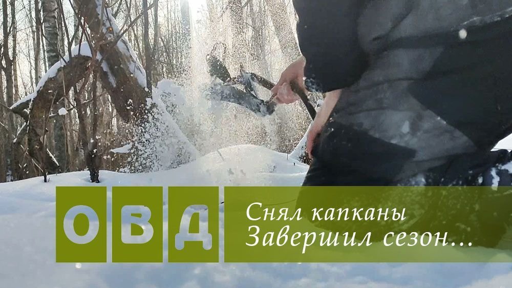 Как убрать капкан. Февраль в лесу.