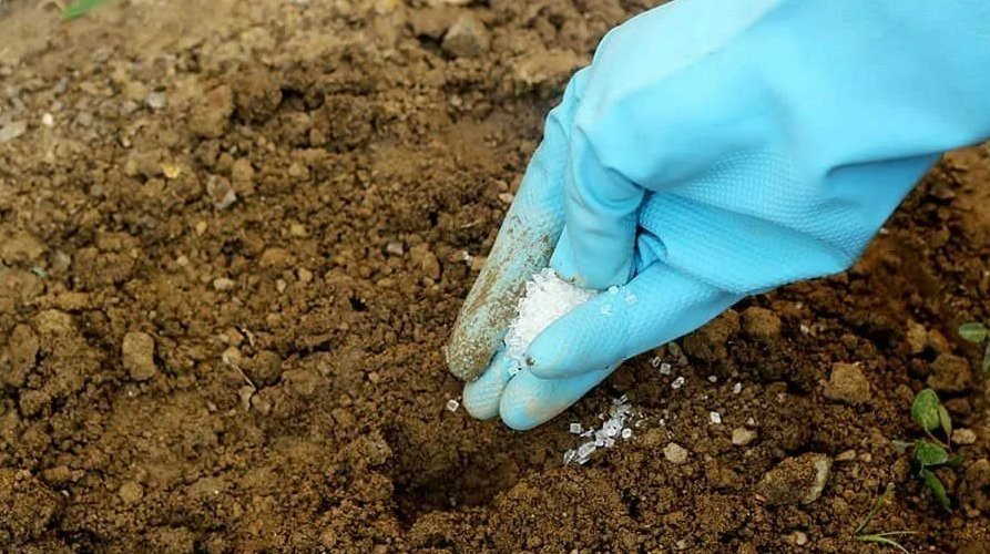 Гептагидрат сульфата магния. Соли азотной кислоты применение. Растворы калийной соли. ). Соль белого цвета.