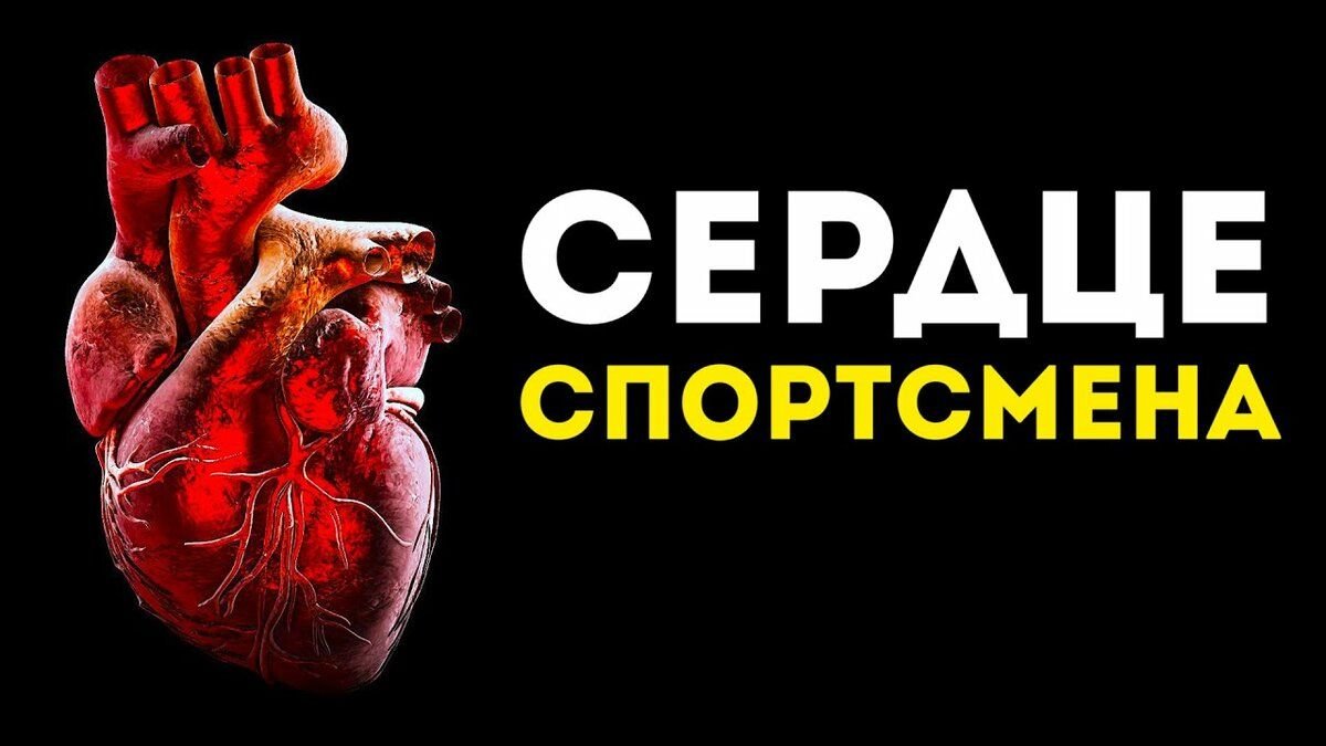 Спортивное сердце презентация