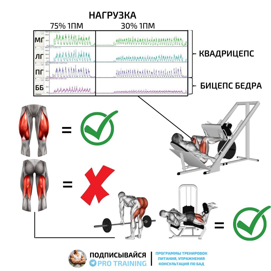 Жим ногами постановка ног