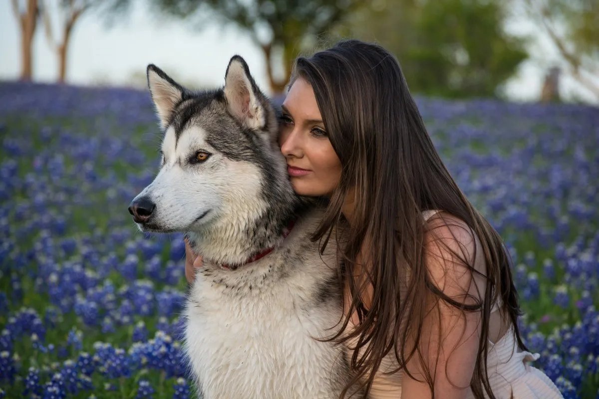 Фотосессия с хаски. Сибирский хаски с человеком. Девушка с хаски летом. Хаски девочка. Фотосессия с хасками летом.