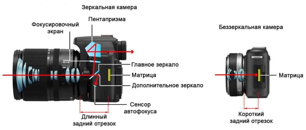 Отличие камеры. Фотоаппарат зеркальный и беззеркальный разница. Зеркальный и беззеркальный фотоаппарат отличия. Зеркалка и беззеркалка отличия. Отличие зеркалки от беззеркалки.
