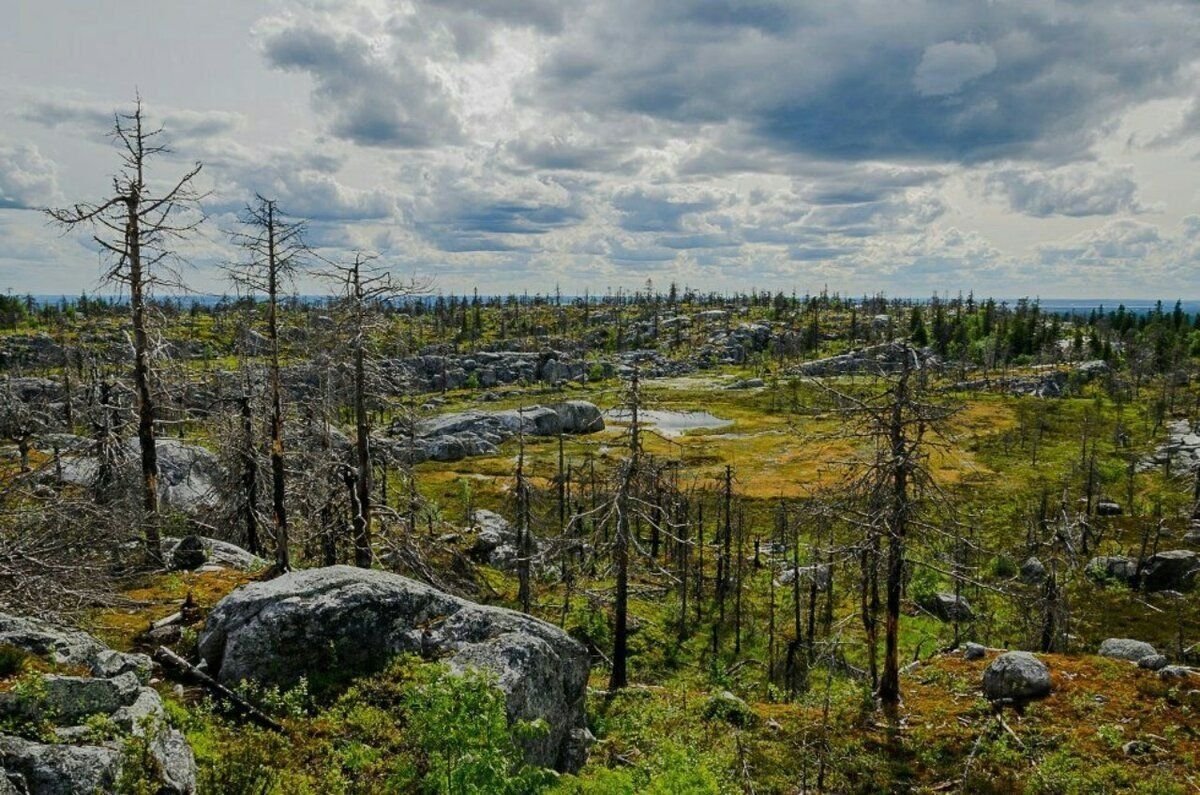 Чертово кладбище Красноярский край